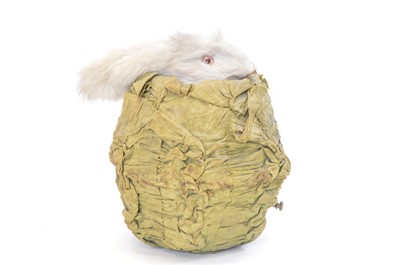 Lot 171 - Late 19th Century French automaton toy of a rabbit in a cabbage