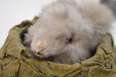 Lot 171 - Late 19th Century French automaton toy of a rabbit in a cabbage