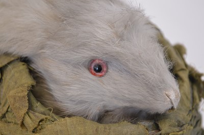 Lot 171 - Late 19th Century French automaton toy of a rabbit in a cabbage