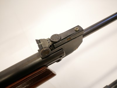 Lot 125 - Webley Hawk .22 air rifle and a Gamo Model Expo .177 air rifle