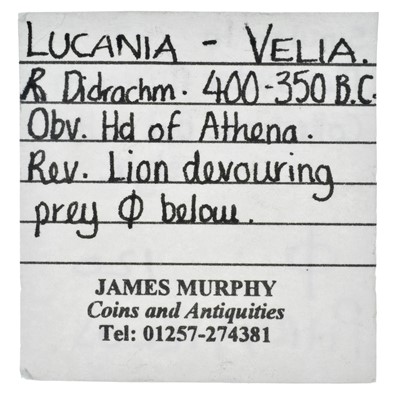 Lot 6 - Lucania, Velia AR Didrachm