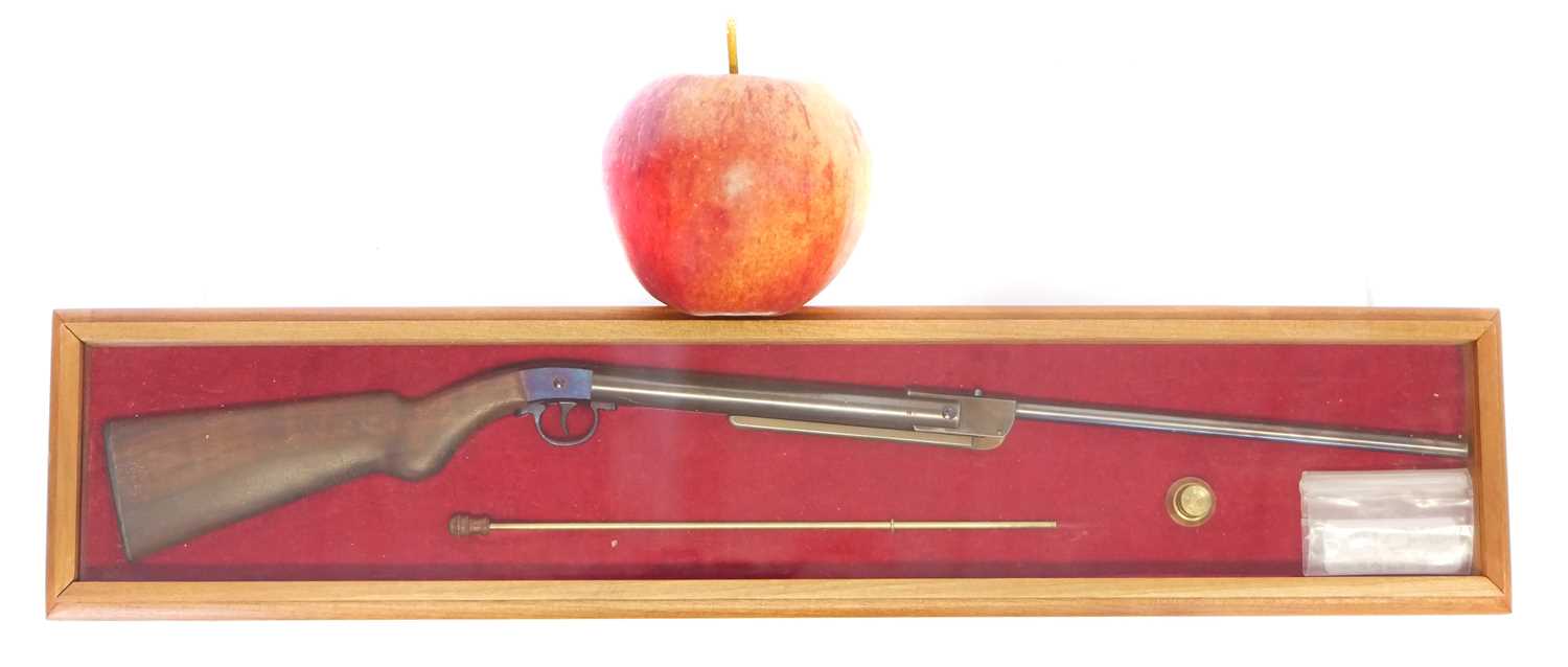 Lot 80 - Miniature model of a Diana air rifle by R.T....