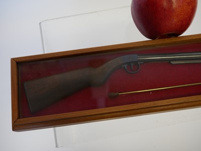 Lot 80 - Miniature model of a Diana air rifle by R.T....