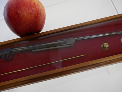 Lot 80 - Miniature model of a Diana air rifle by R.T....