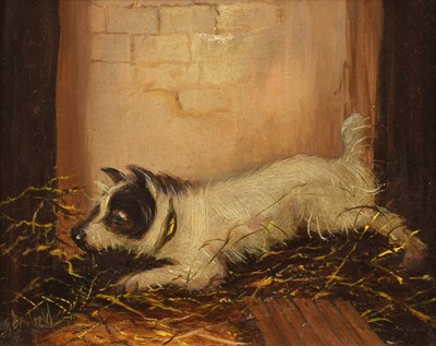 Lot 195 - George Armfield (British 1808-1893)
