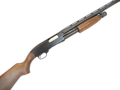 Lot Firearms licenced Winchester 12 bore model 120...