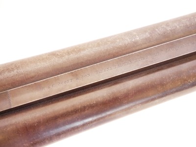 Lot W.C. Scott and Son 10 bore side by side hammer...