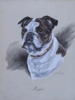 Lot 497 - K.C. Brown,  Major - Portrait of a bulldog, watercolour