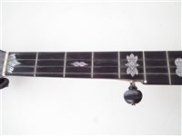 Lot 17 - Cole's Eclipse five string banjo